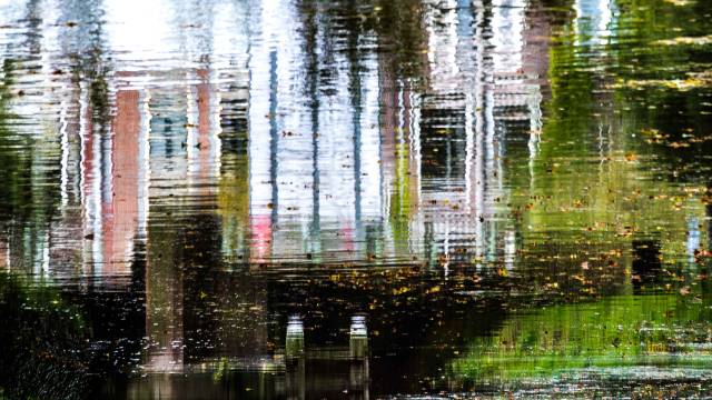 Expositie Droomsingel van Eddy Steenvoorden